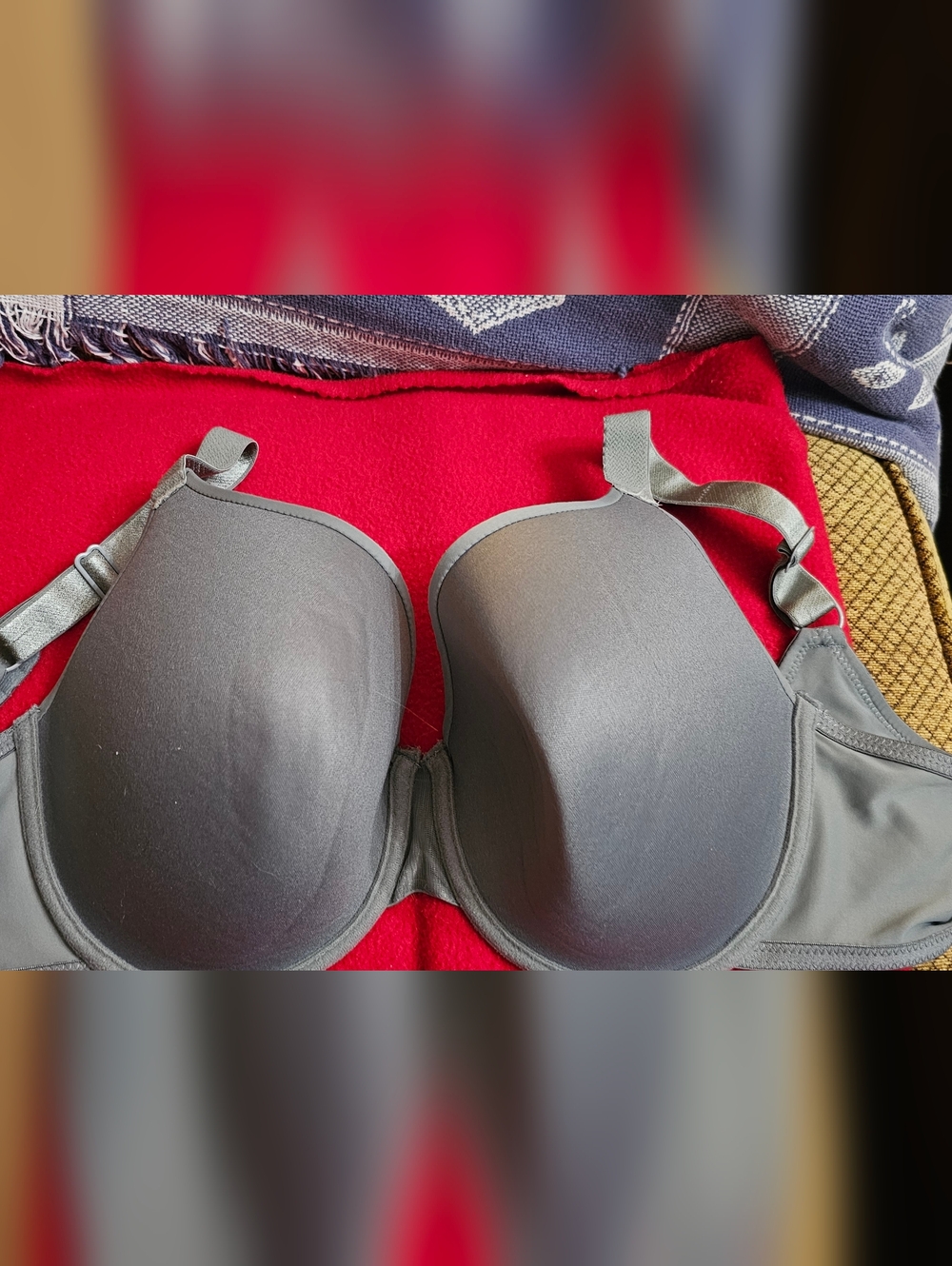 Gray Bra with Light Padding - Women Intimates
